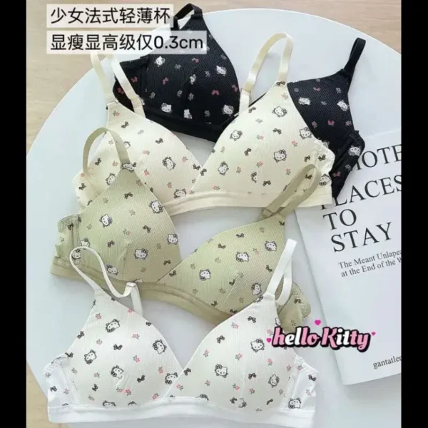 Hello Kitty Student Triangle Cup Bra Cartoon